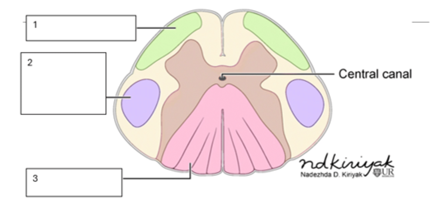 <p>1</p>