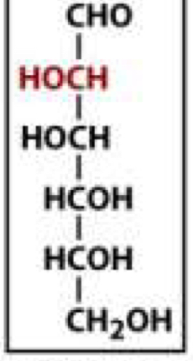 <p>What is this?</p>