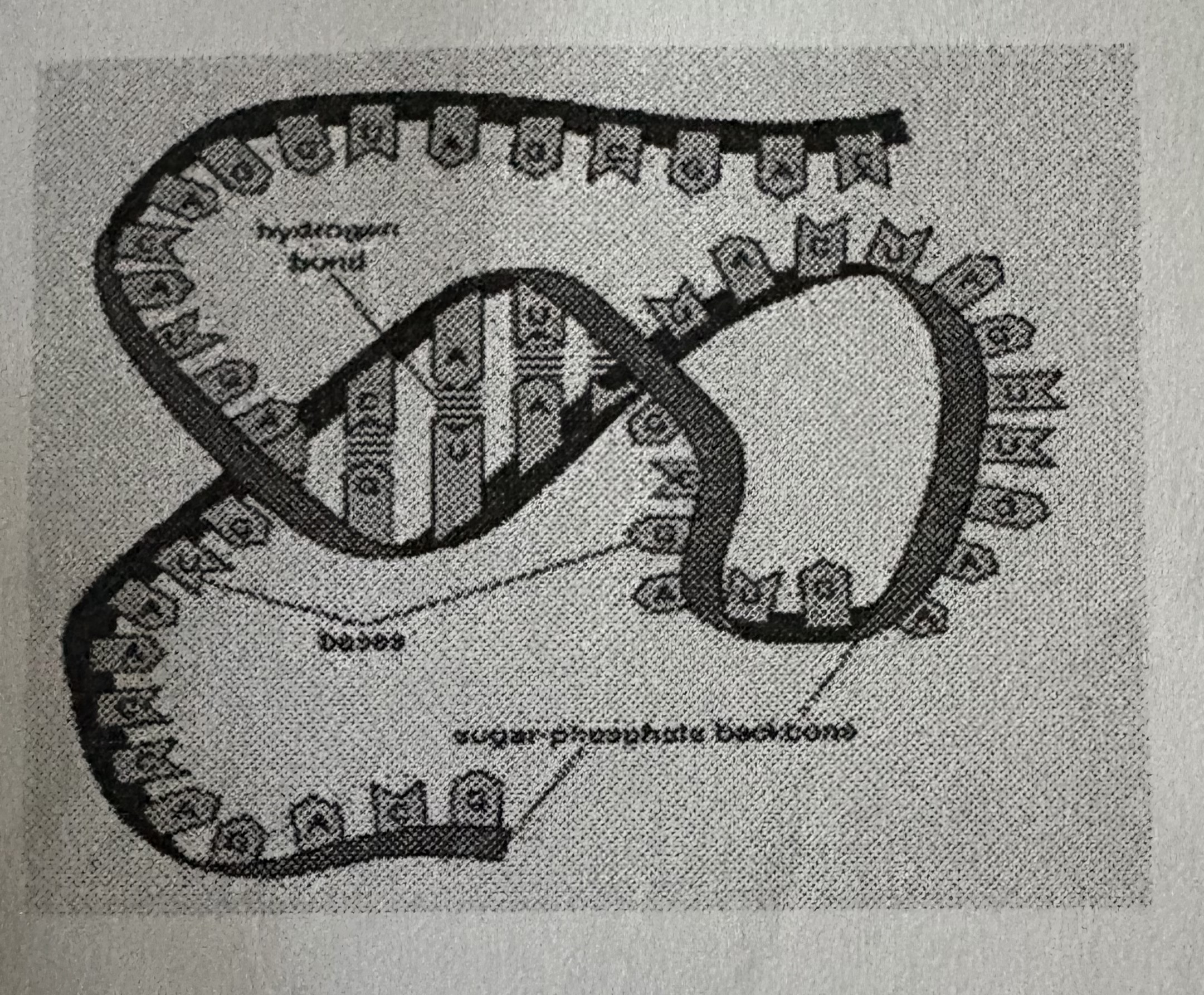<p><strong>R</strong>ibo<strong>N</strong>ucleic <strong>A</strong>cid</p>