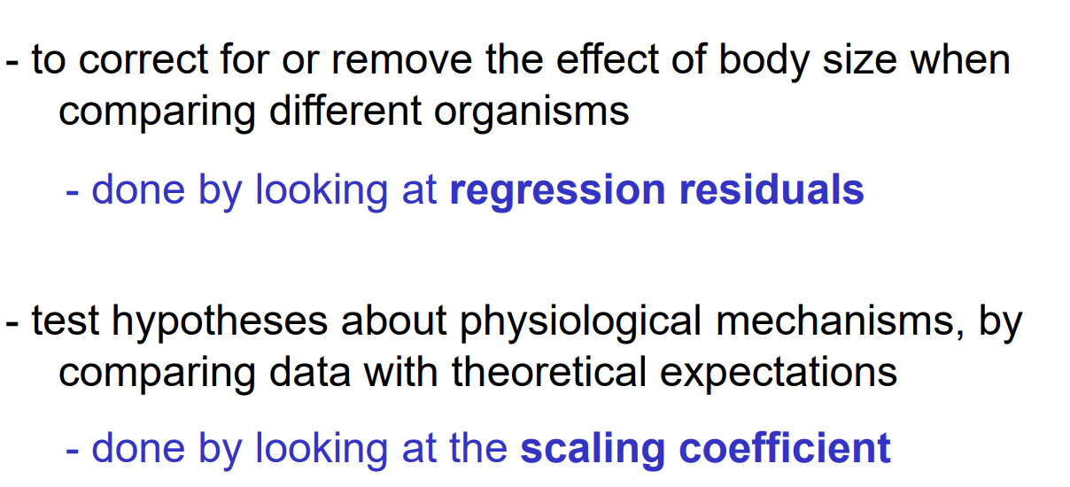 <p>Testing general hypotheses about functions of an organism</p><ul><li><p>what determines met rate</p></li><li><p>How do animals ceiling walk</p></li><li><p>why do big animals have straight legs</p></li><li><p>How large can fling animals be</p></li><li><p>How thick do tree stems have to be</p></li><li><p>How far can animals jump</p></li></ul><p>→ Assessed by deriving theoretical predictions and testing them using scaling analysis</p><p>How?</p><p>→ Looking at scaling exponent</p><p></p>