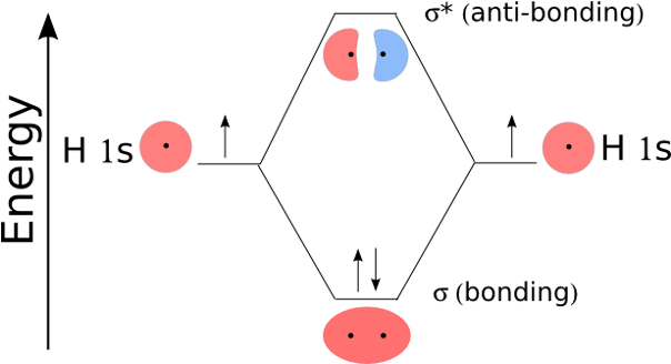 <p><span>§When 2 AOs combine, 2 MOs are formed, one lower and one higher in E than the original AOs</span></p><p></p><p><span>§Both electrons are in the σ bonding MO. The σ* antibonding MO is empty.&nbsp;&nbsp;- easier to lose energy than gain </span></p>