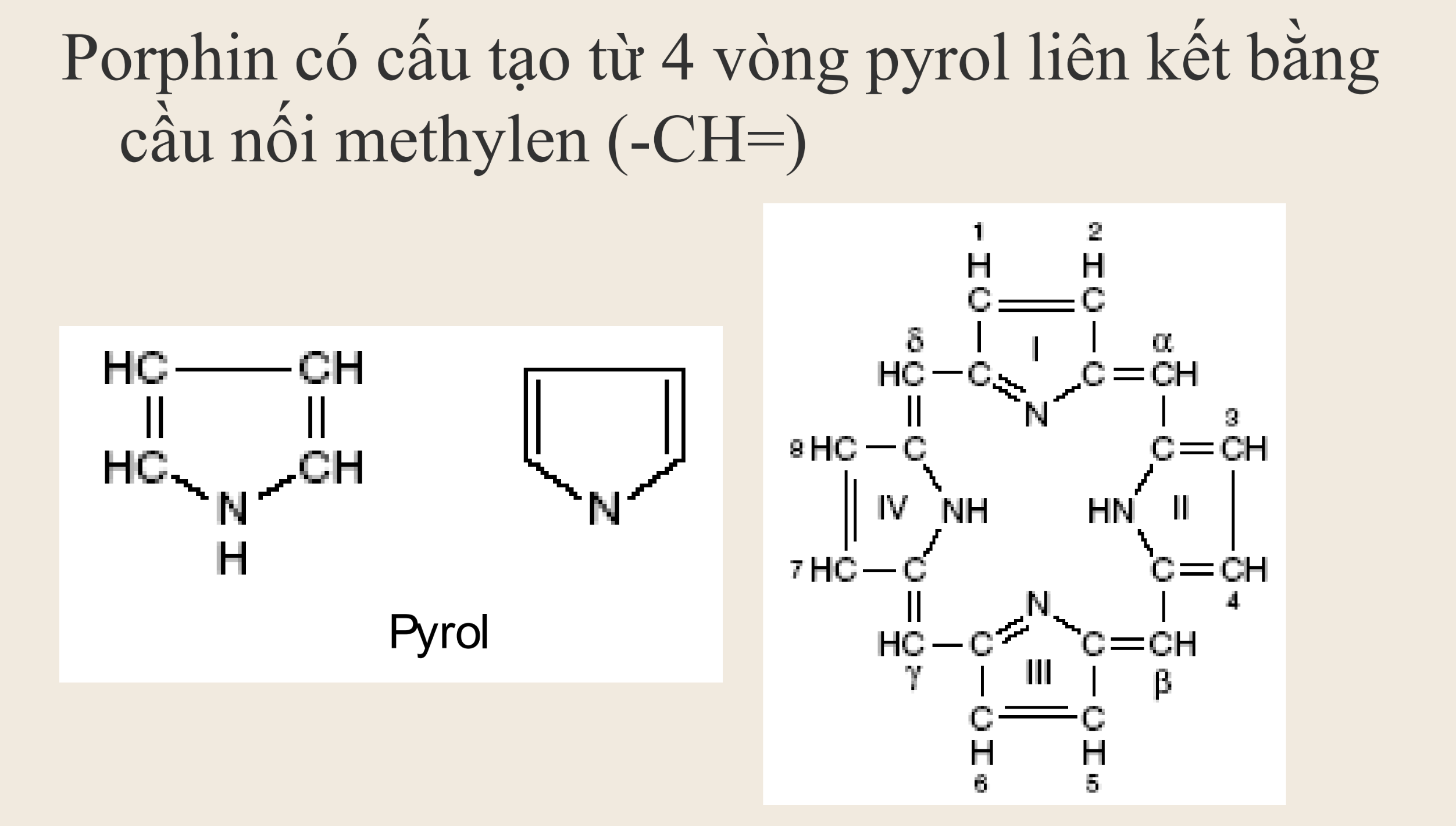 <p><strong>Các vòng pyrrol trong porphin được nối với nhau bằng liên kết nào?</strong></p><p>A. Liên kết ester</p><p>B. Cầu nối methylen (=CH–)</p><p>C. Liên kết hydro</p><p>D. Liên kết disulfide</p>