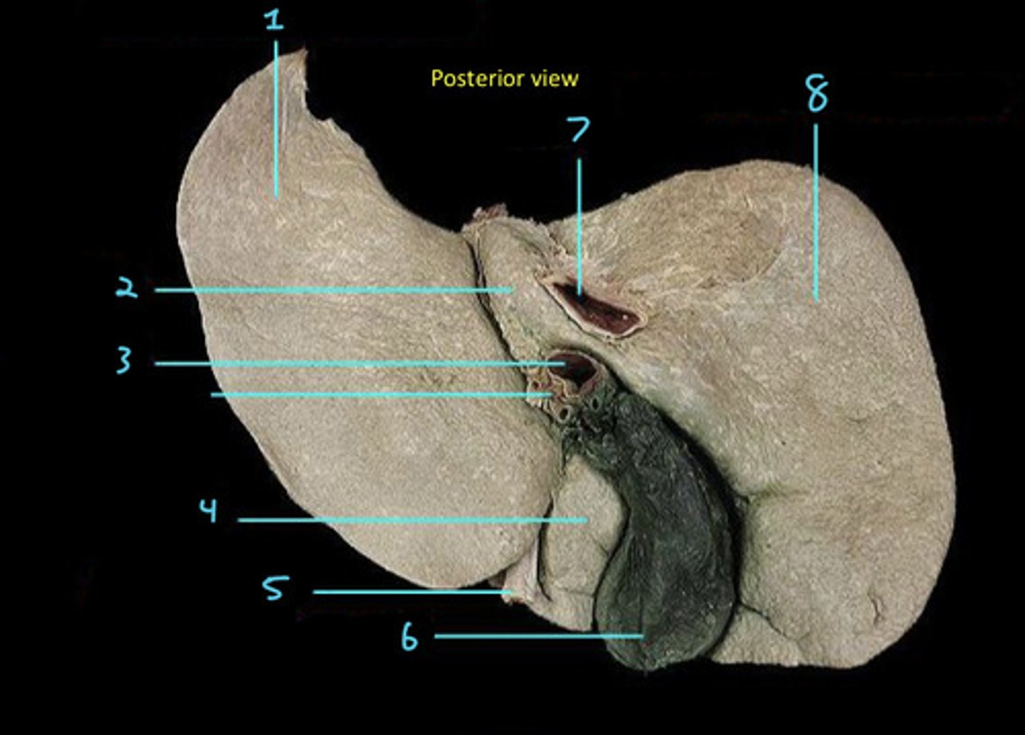 <p>3</p>