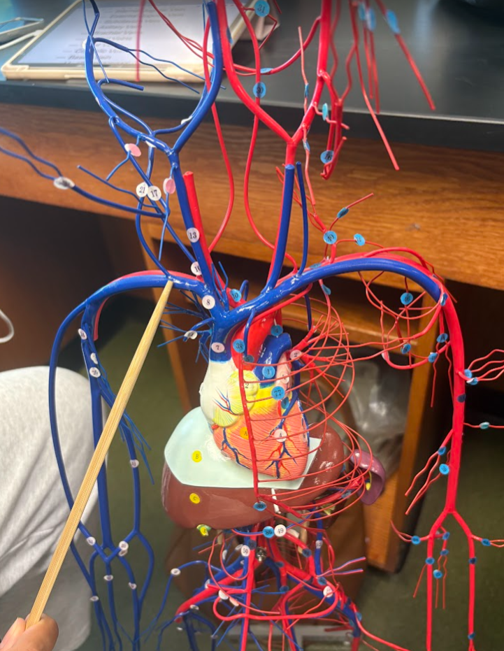 <p>What is this?</p>