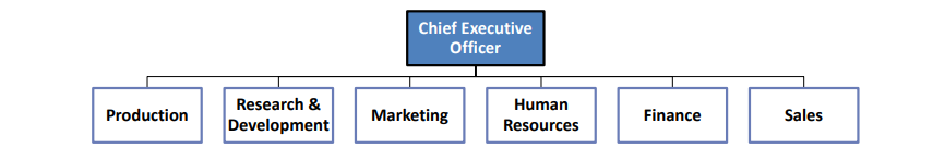 <p>An organizational structure composed of all the departments that an organization requires to produce its goods or services.</p>