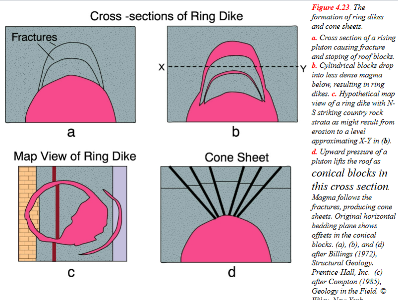 <p><span style="color: #000000">Cross section of a rising pluton causing fracture and stoping of roof blocks.</span><span style="color: #000000"><br></span><span style="color: #000000">b. Cylindrical blocks drop into less dense magma below, resulting in ring dikes. </span></p><p><span style="color: #000000">c. Hypothetical map view of a ring dike with N- S striking country rock strata as might result from erosion to a level approximating X-Y in (b).</span><span style="color: #000000"><br></span><span style="color: #000000">d. Upward pressure of a pluton lifts the roof as conical blocks in this cross section.</span><span style="color: #000000"><br></span><span style="color: #000000">Magma follows the fractures, producing cone sheets. Original horizontal bedding plane shows offsets in the conical blocks.</span></p>