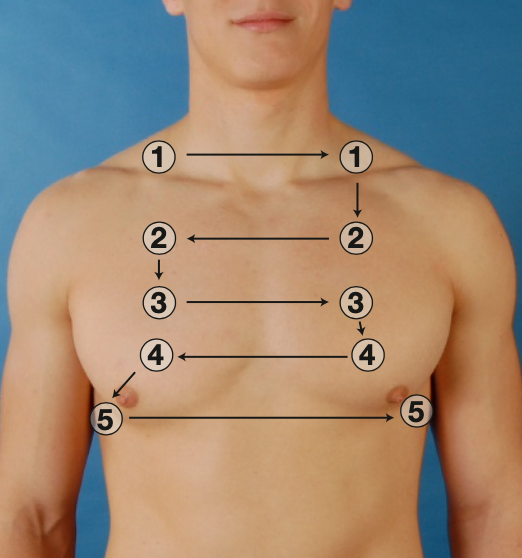 <ul><li><p>Percuss over supraclavicular areas and interspaces, moving downward</p></li><li><p>Females - Do not percuss directly over female breasts, or else it will produce a dull sound. Move it over slightly using edge of stationary hand</p></li></ul><p></p>