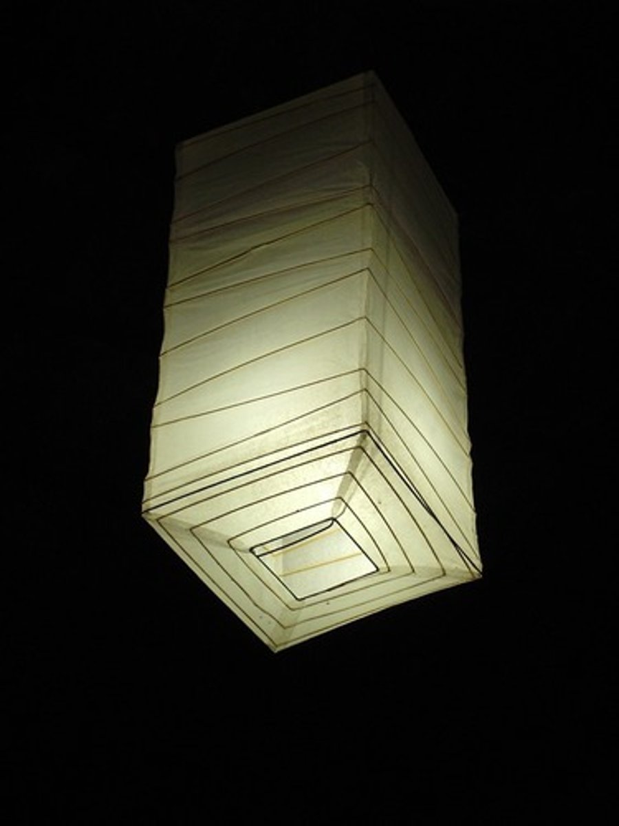 <p>the lamp</p>