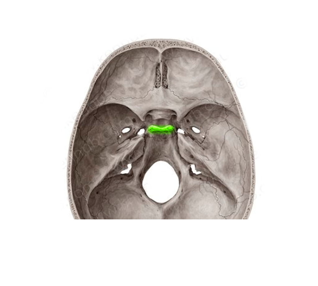 <p>török nyereg hátúlsó része</p>