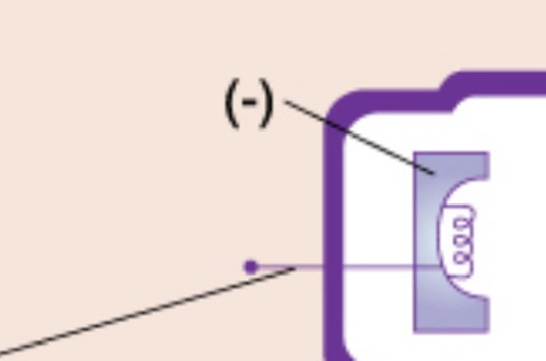 <p>cathode (-)</p>