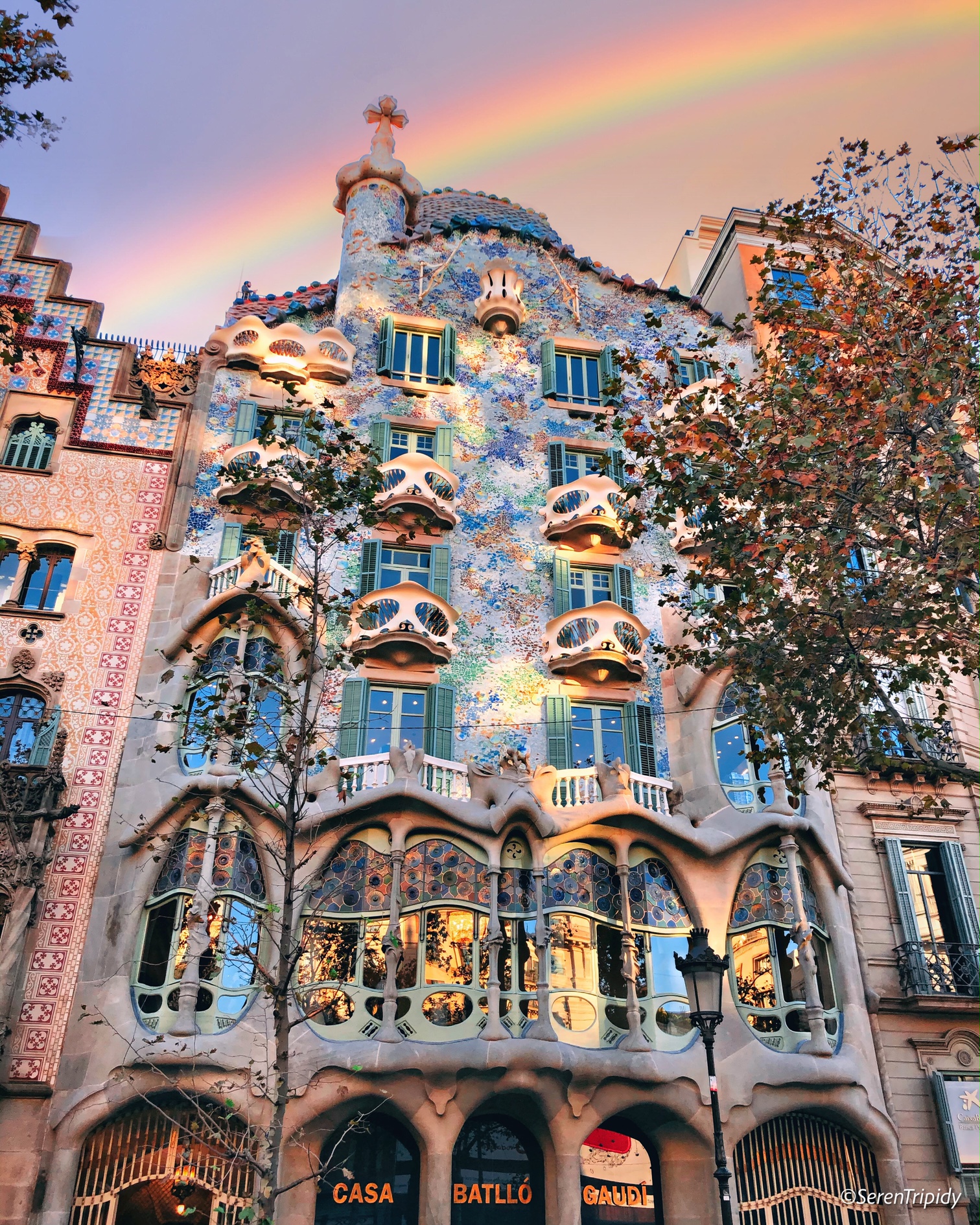 <p>local name for the building is Casa dels ossos (House of Bones. It is located on the Passeig de Gràcia in the Eixample district. Casa Batlló is only identifiable as Modernisme or Art Nouveau in the broadest sense.</p>