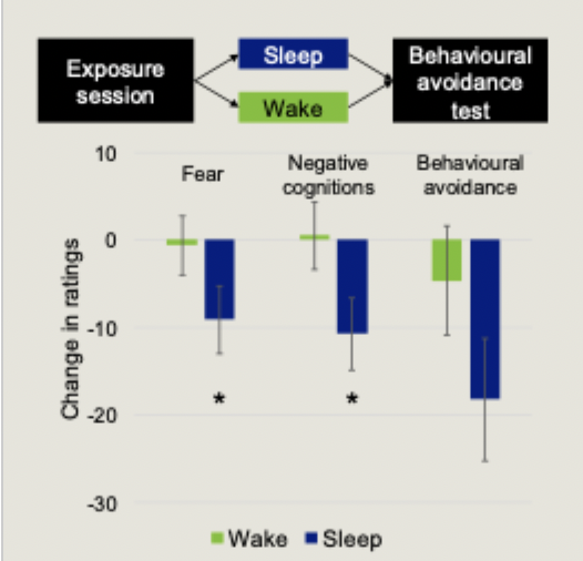 <ul><li><p>exposure therapy is one of the main psychological therapies for PTSD</p></li><li><p>also used for treating phobias, panic disorder, social anxiety disorder and more</p></li><li><p>therapist creates a safe environment to expose patients to the thing they fear</p></li><li><p>exposure therapy fosters new extinction learning in a safe environment</p></li><li><p>Kleim et al: Sleeping after an exposure session enhances therapeutic effectiveness</p></li></ul><p></p>