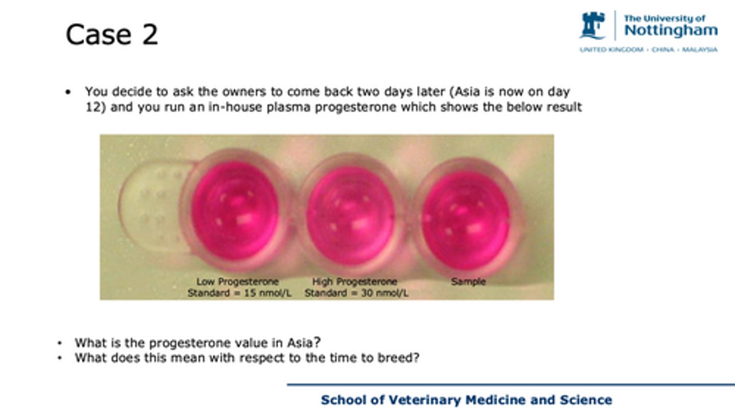 <p>case 2 what is the progesterone value ? and what does this mean with respect to time to breed ?</p>