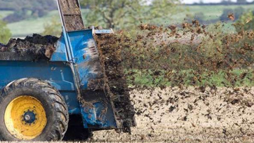organic - e.g. animal manure (farmyard manure or FYM), composted vegetable matter, crop residues, blood & bones, seaweed, sewage sludge.
these contain the main elements found in artificial fertilisers (NPK), but in organic compounds such as urea, cellulose, lipids & organic acids.