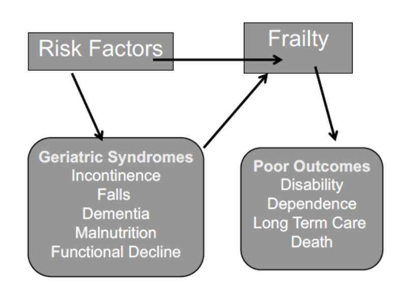 <ul><li><p>Used to capture conditions in older adults that do not fit into discrete disease categories </p></li><li><p>Impact quality of life </p></li><li><p>Disability is great </p></li><li><p>Multiple underlying factors including multiple organ systems contribute to syndrome</p></li></ul><p></p>