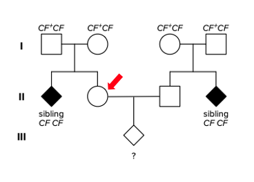 <p>What is the probability of the female in II generation (red arrow) to be the carrier?&nbsp;</p><p>&nbsp;</p><p>&nbsp;</p><p>1/2</p><p>&nbsp;</p><p>2/3</p><p>&nbsp;</p><p>3/4</p><p>&nbsp;</p><p>1/4</p>