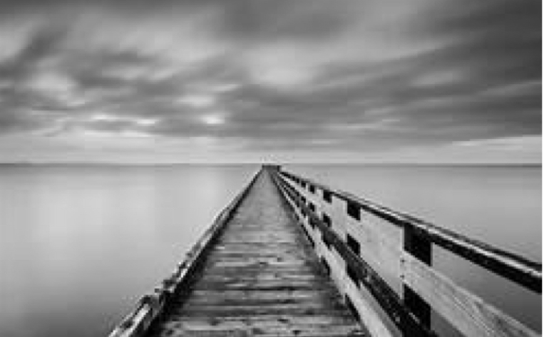 <p>This image is an example of what Element of design:</p>