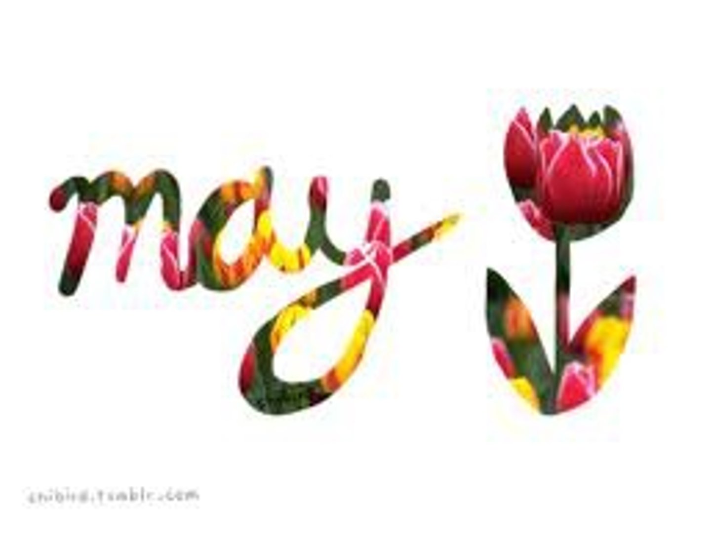 <p>May</p>