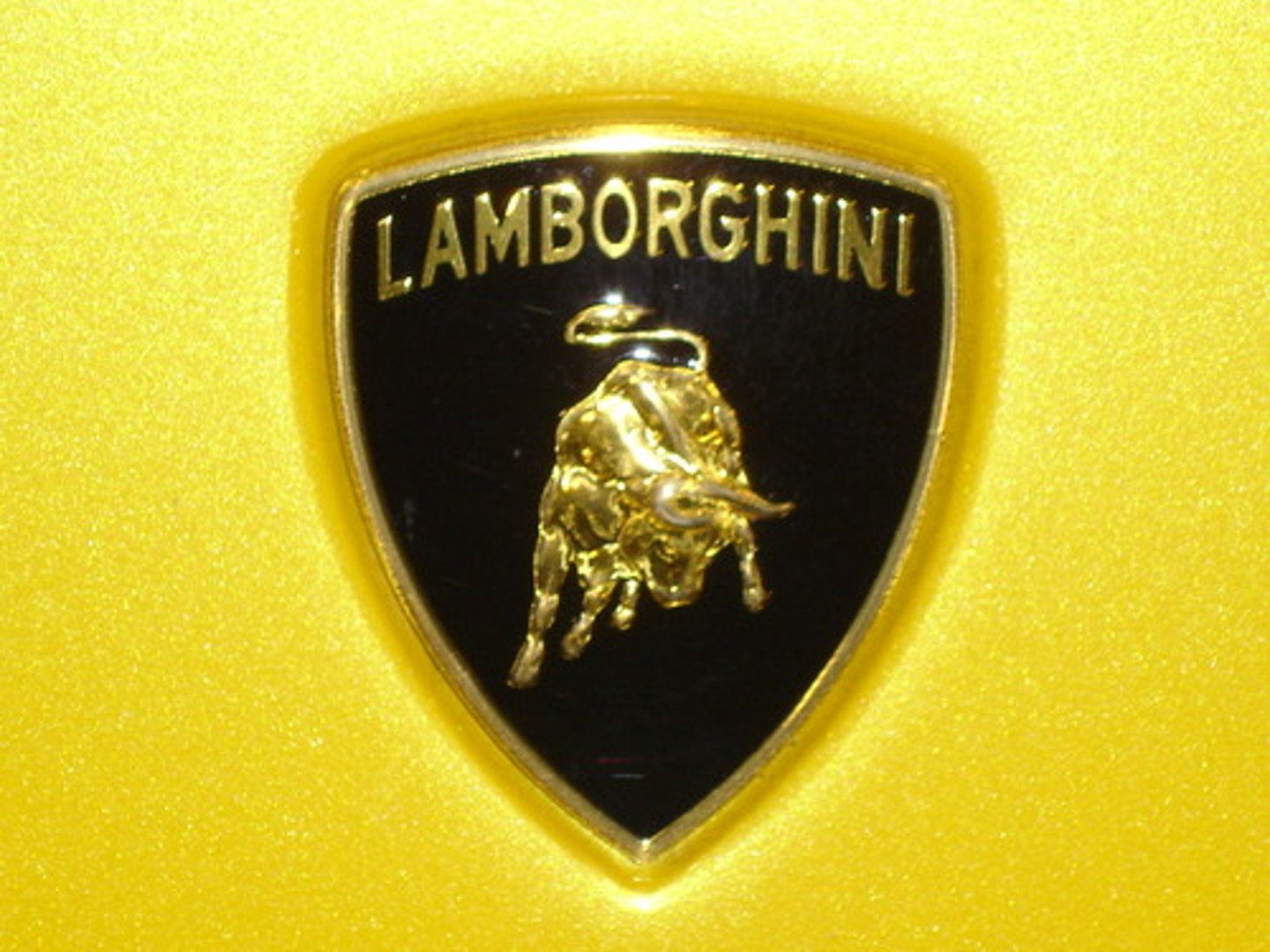 <p>logo</p>