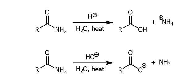 <p>An amide when combined with strong acid/base with heat and water will produce a carb. acid or a carboxylate ion with ammonium or ammonia respectively.</p>
