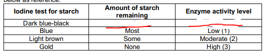 <p>FILL IN THE BLANKS</p>