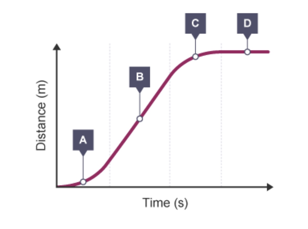 <p>Describe what is happening at A, B, C and D</p>