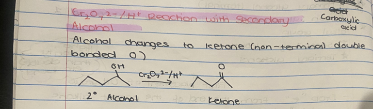 <p><span>ONLY 1 STEP </span></p><ol><li><p><span>Alcohol changes to ketone</span></p></li></ol><p></p>