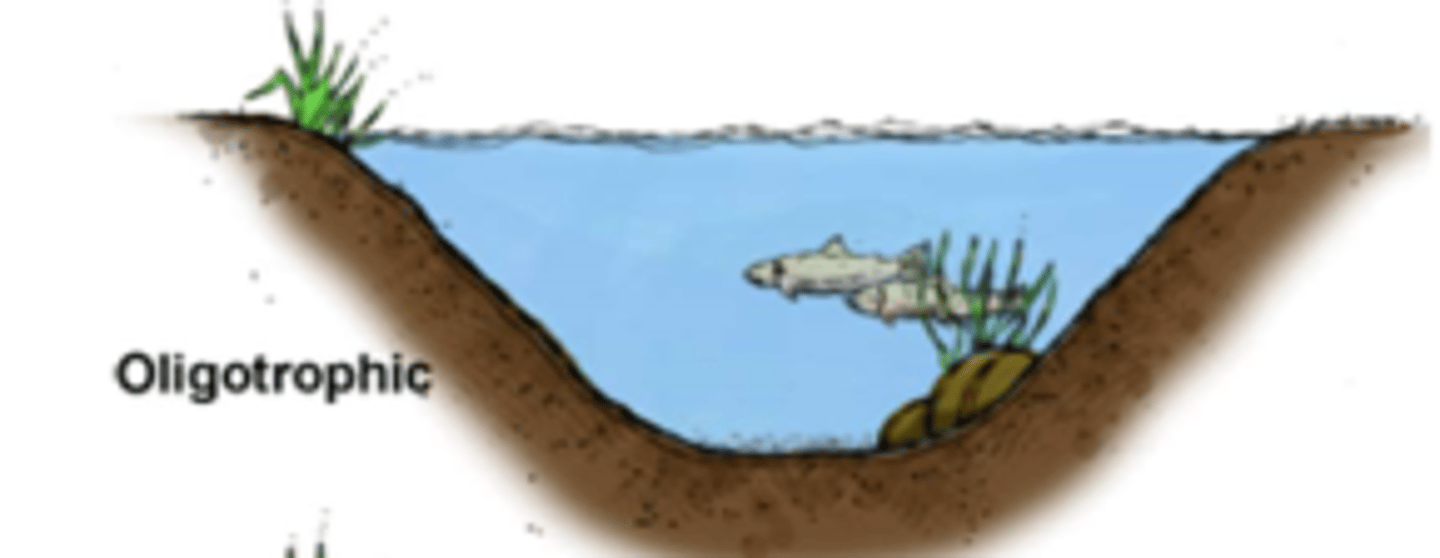 <p>- lakes with less nutrient content and clean water</p><p>- low BOD</p><p>- high penetration of sunlight</p><p>- high DO</p>