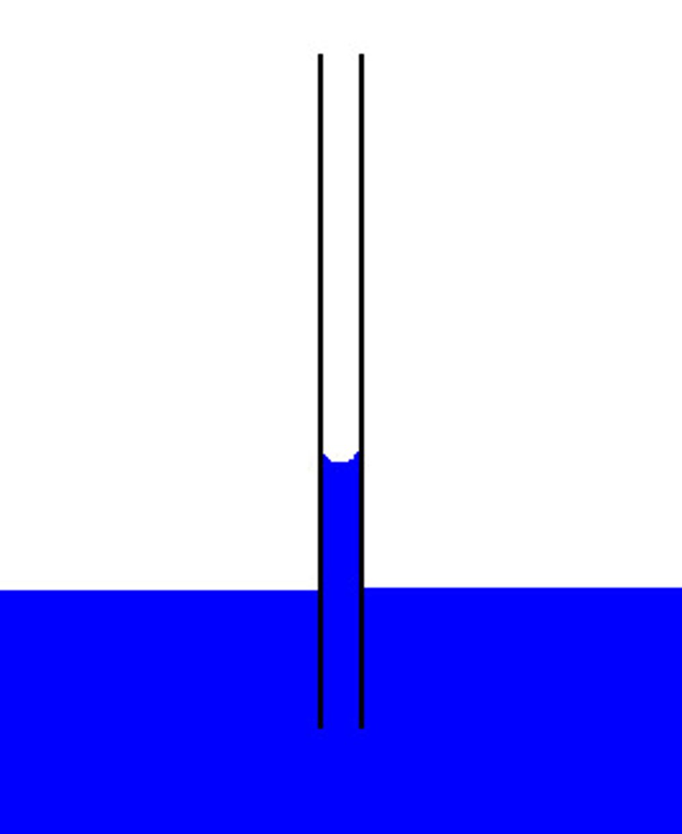 <p>tendency of water to rise in a thin tube against the force of gravity, and due of the cohesion and adhesion forces of attraction.</p>