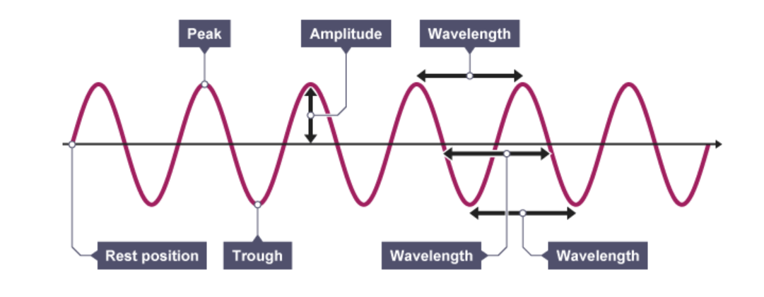 <ol><li><p>Peak</p></li><li><p>Amplitude</p></li><li><p>Wavelength</p></li><li><p>Trough </p></li><li><p>Rest Position</p></li></ol><p></p>