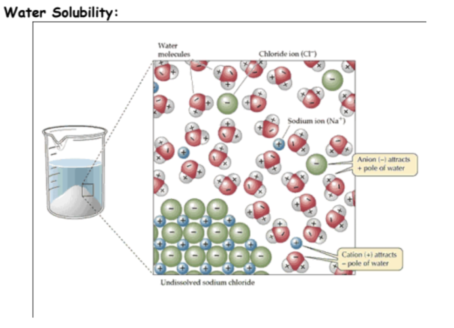 <p>determined by how well the particles of one substance will mix with (form attractions with) the particles of another substance. The expression “like dissolves like” is a simple and useful term to remember, and it generally refers to the polarity of substances being mixed.</p>