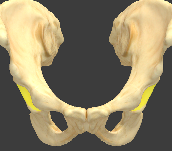 term image
