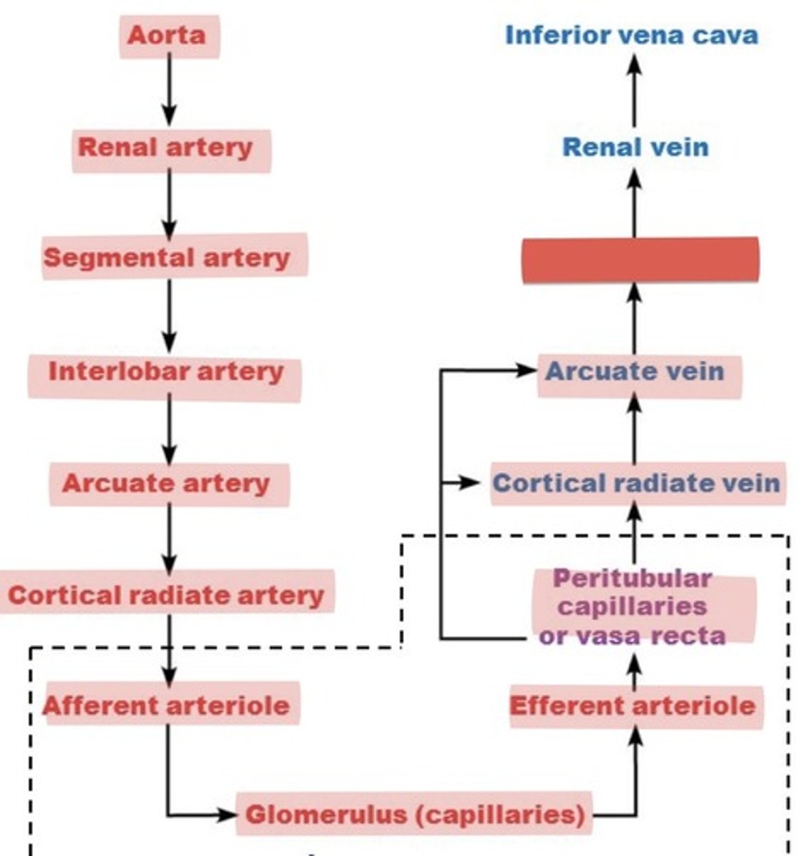 <p>What is this?</p>