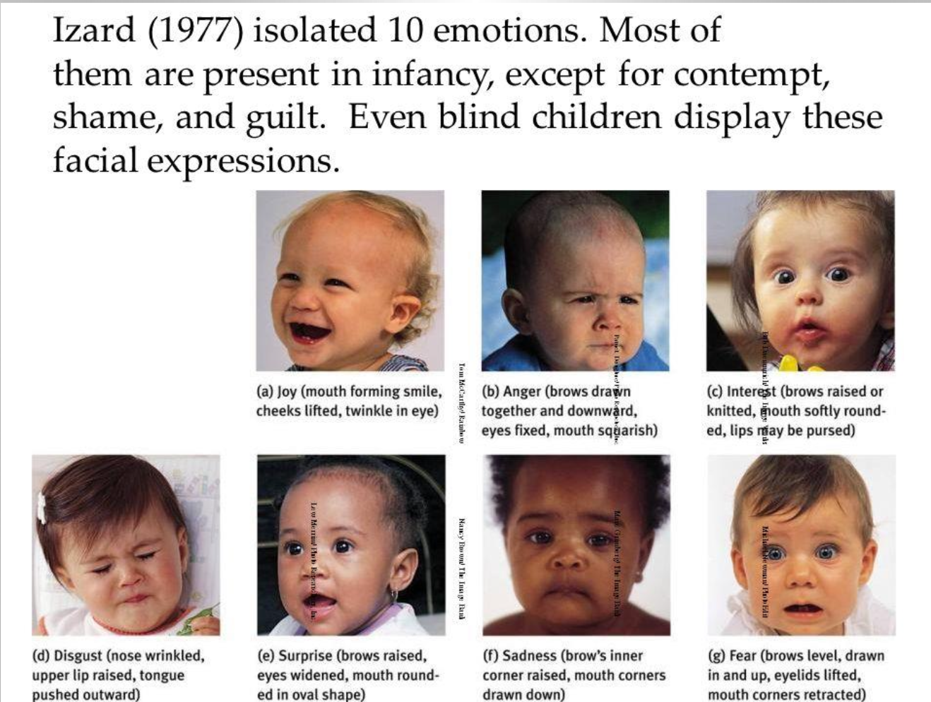 
1. Joy
2. Anger
3. Interest
4. Disgust 
5. Surprise
6. Sadness
7. fear