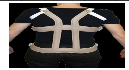 <p>Identify this Orthosis</p>