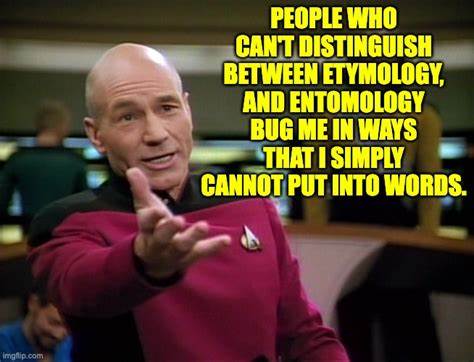 <p>etymology</p>
