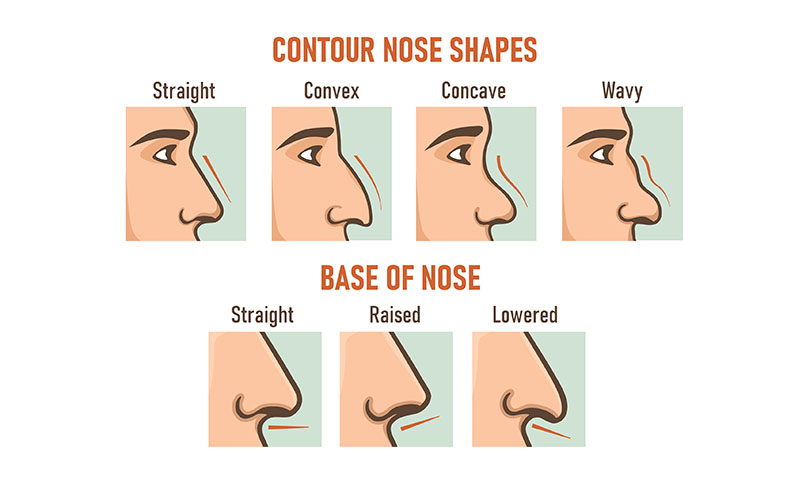 <p>nose(n) </p>