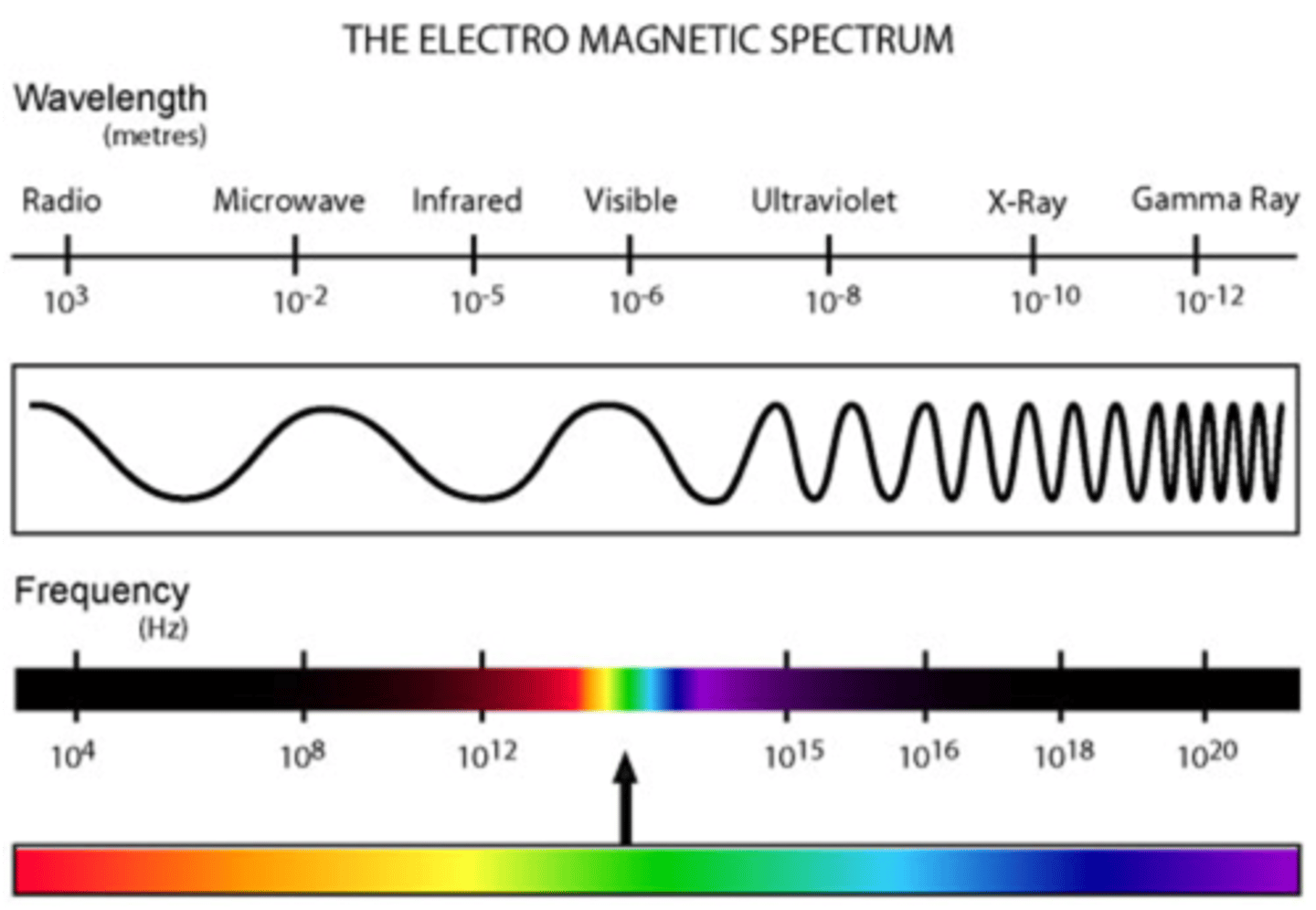 <p>a form of energy that exhibits wavelike behavior as it travels through space</p>