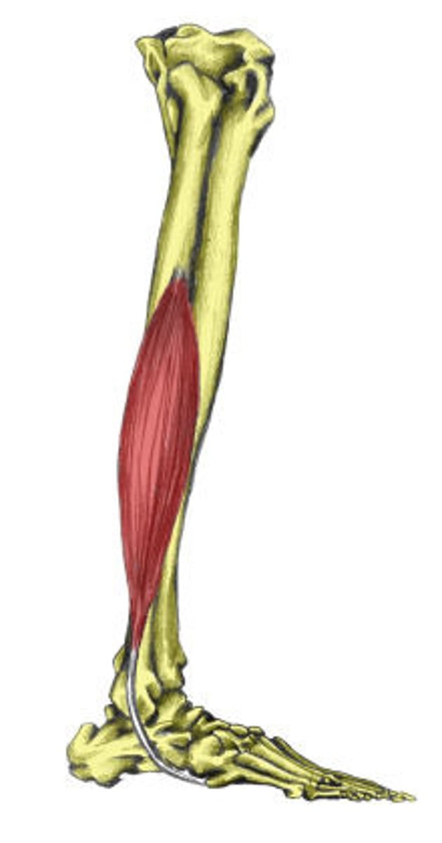 <p></p>