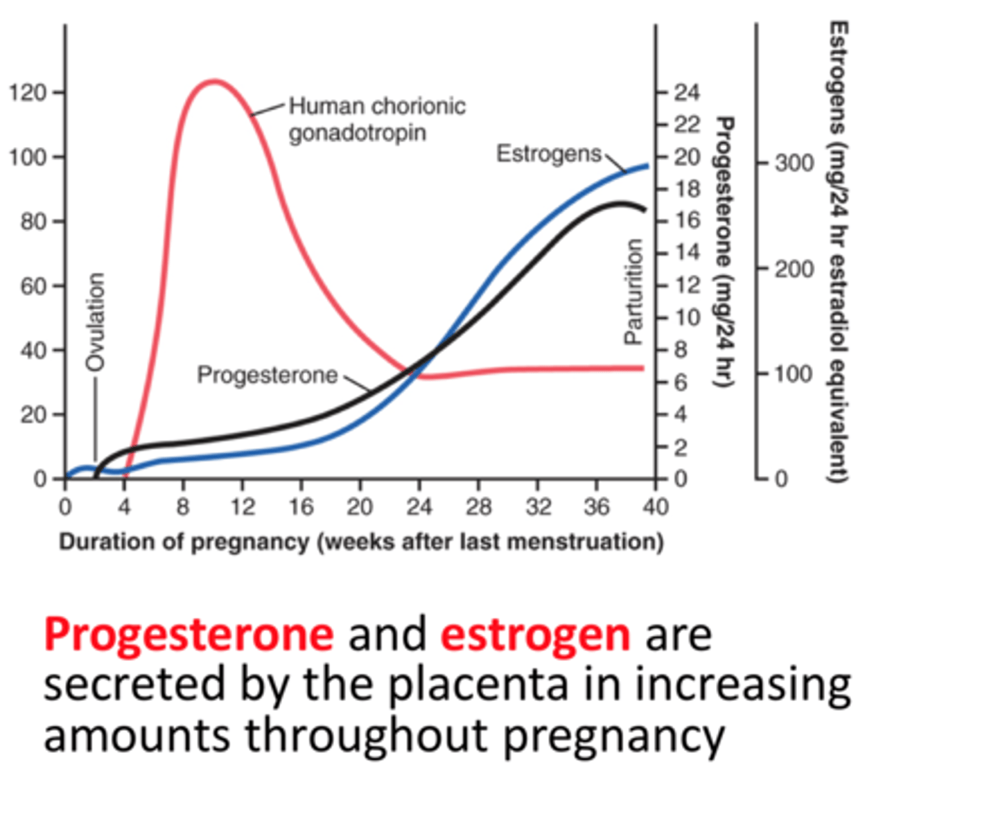 <p>human chorionic somatomammotropin</p>
