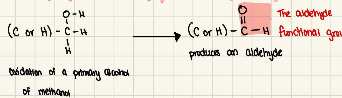 <p>oxidized PRIMARY alcohol or methanol with the product of a carbonyl group on the END of the carbon chain</p>