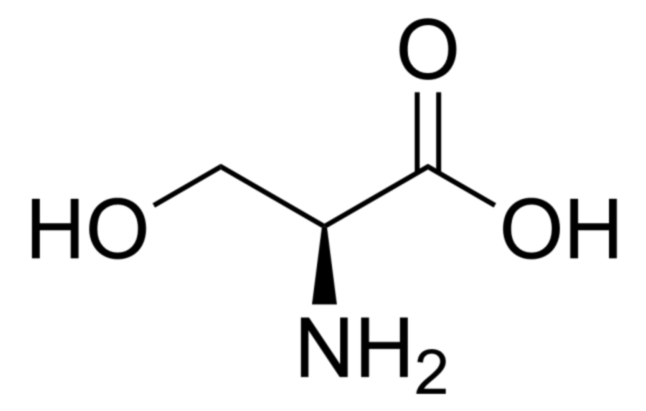 <p>Ser, S, polar neutral</p>