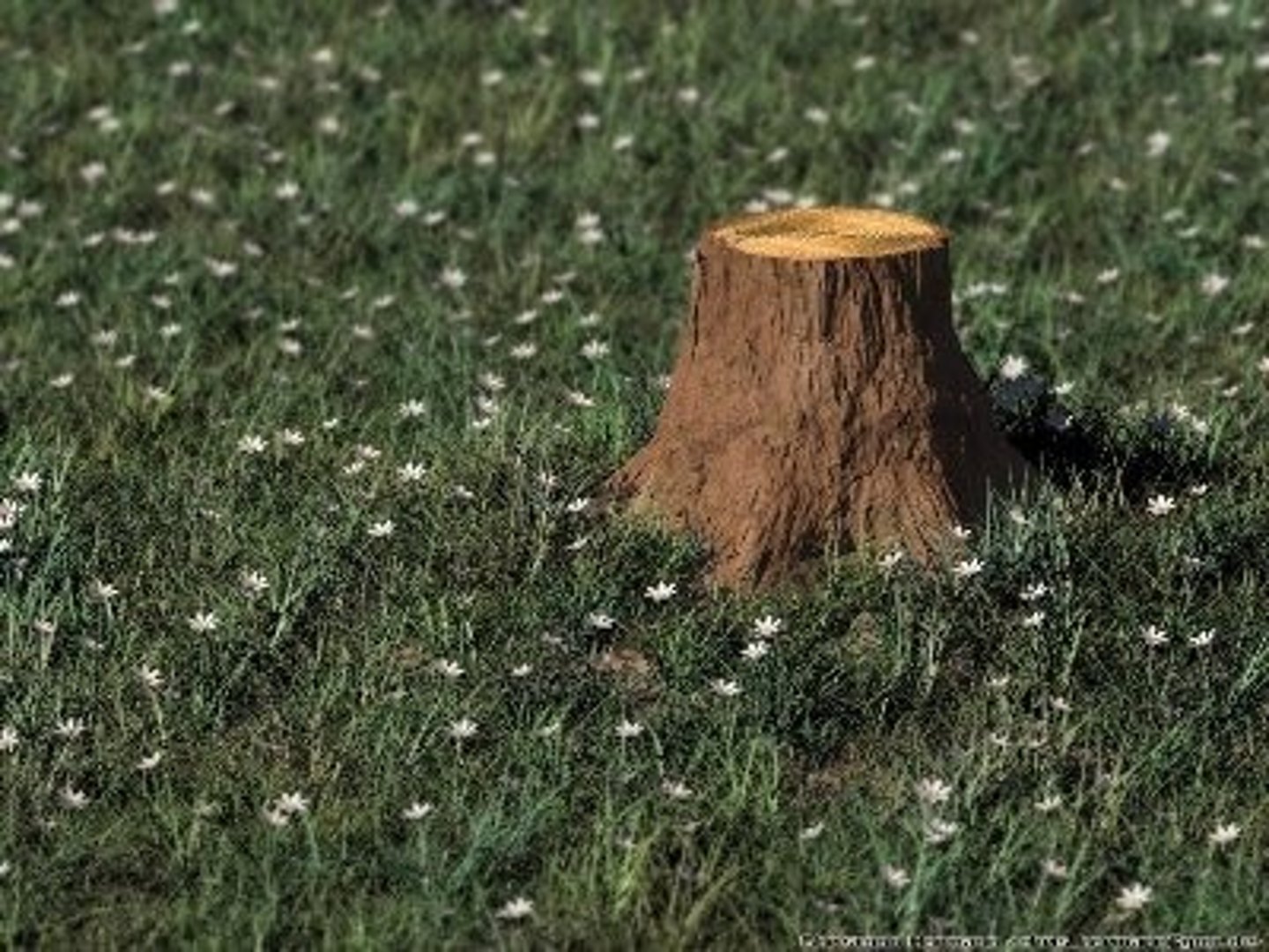 <p>Stumpf</p>