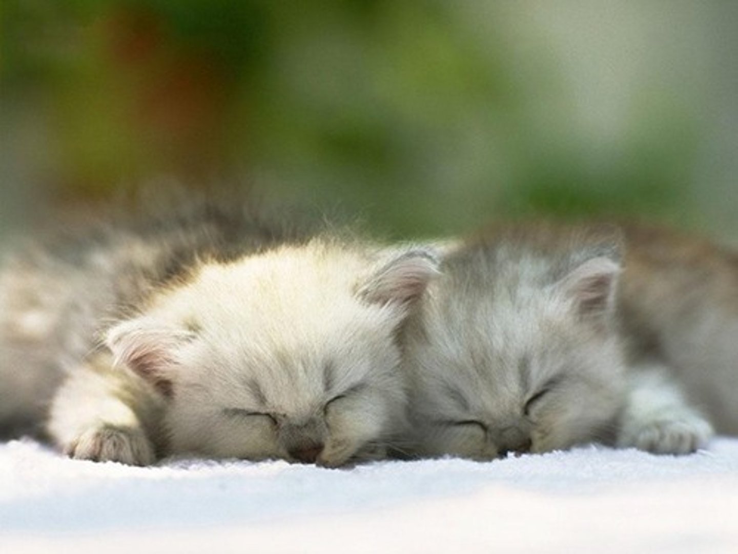 <p>We are tired</p>