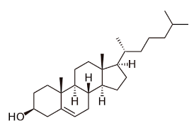 <p>What is the key derivative of sterols?</p>
