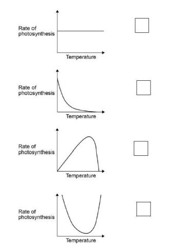 <p>Which graph shows the effect of temperature on the rate of photosynthesis?(1)</p>