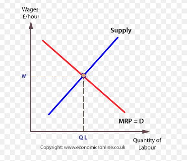<p>the wage level where there is no surplus or shortage of labor. - generally it will be below the minimum wage</p>