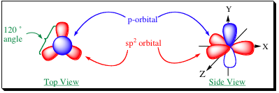 <p>3 orbitals</p>