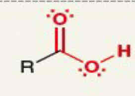 <p>What functional group is this</p>