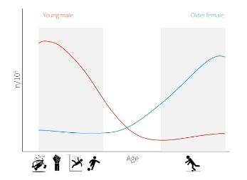 <p>Bimodal distribution - 2 peaks</p><p>The first peak is mostly young males (increasing incidence in young women too), and the fractures are mostly high-energy (assault, falls >2m, RTC). Called unimodal young males.</p><p> The second peak is mostly made up of older females suffering low-energy fractures from falls (increased incidence in old males too). Called unimodal older females.</p>